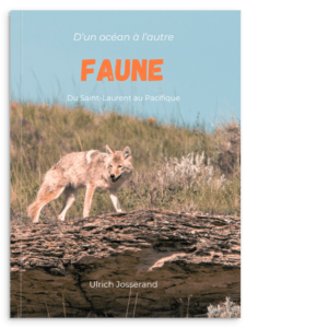 -À VENIR- Livre "Faune"